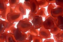 Granatäpfel rote Kerne — Stockfoto