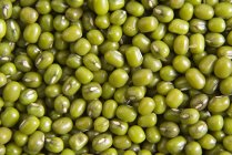 Сирих зелених грам — стокове фото