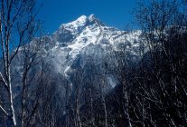 Angolo basso Vista sulle cime delle montagne con alberi a piedi durante il giorno — Foto stock