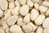 White Field beans — Stock Photo