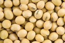 Heap of raw Soybean — Stock Photo