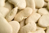 White Field beans — Stock Photo