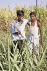 Agricultores indios con cuchillo en el campo. Salunkwadi, Taluka, distrito de Ambejpgai, Beed, Maharashtra, India - foto de stock