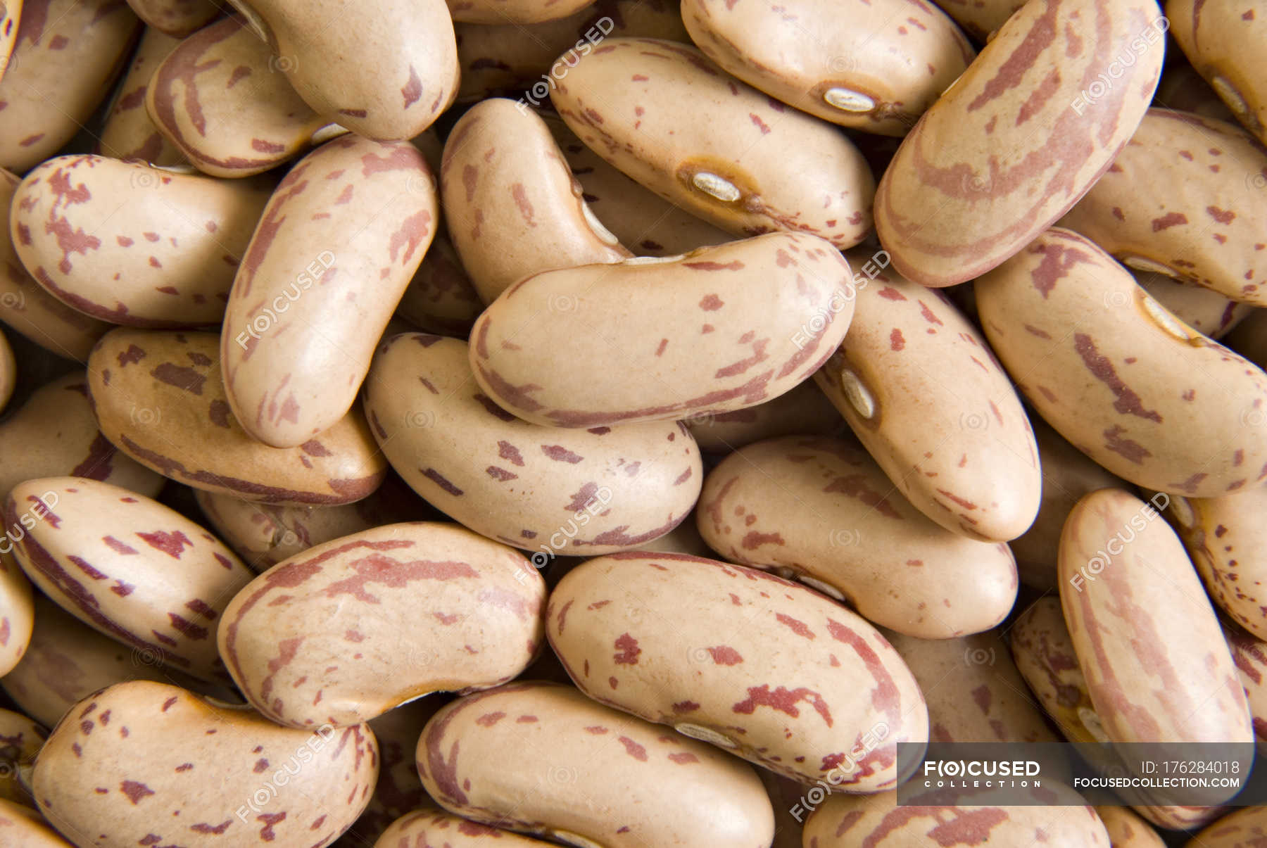 Red Kidney Beans — backdrop, background - Stock Photo | #176284018