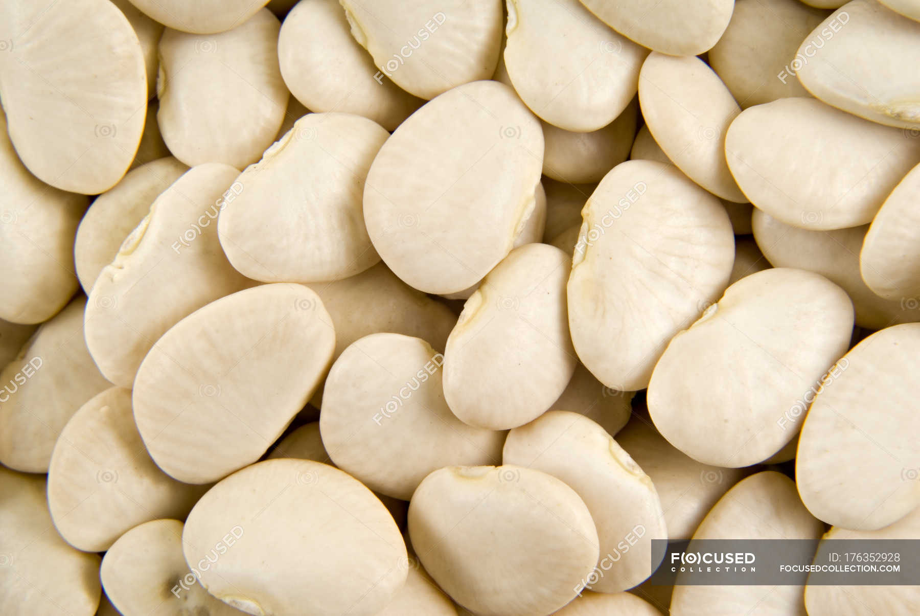 White Field beans — color, surface Stock Photo 176352928