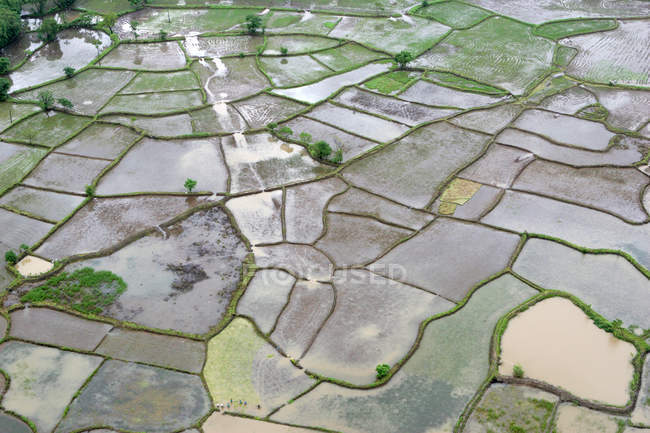 Una veduta aerea dei terreni agricoli immersi nell'acqua dopo le inondazioni del 26 luglio 2005 che hanno scosso Mumbai e le sue parti adiacenti a Raigad . — Foto stock