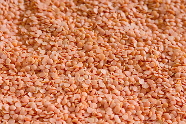 Un mucchio di lenticchie rosse divise grezze, immagine full frame — Foto stock