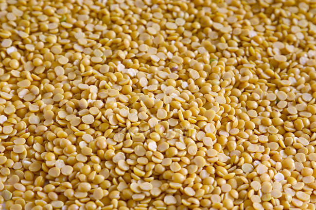 Heap de lentilhas amarelas cruas, quadro completo — Fotografia de Stock
