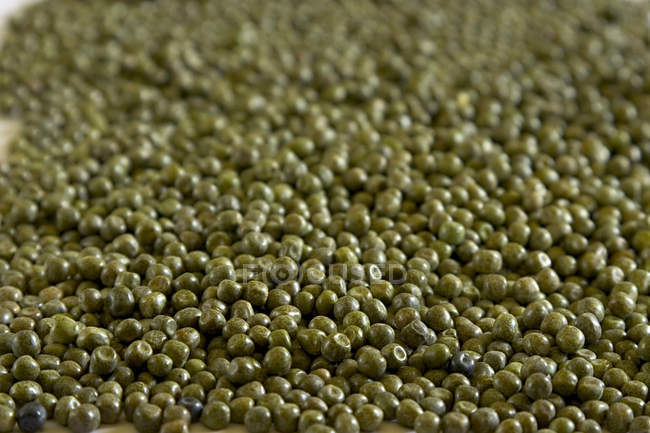 Close up de montão de ervilhas pretas secas cruas — Fotografia de Stock