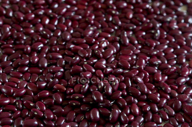 Raw Red Kidney Beans,  full-frame picture — Stock Photo