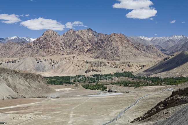 Un sitio raro de álamos y sauces en el valle cerca de Nimmu en el camino de Leh-Kargil en el típico paisaje frío del desierto de Ladakh, India - foto de stock