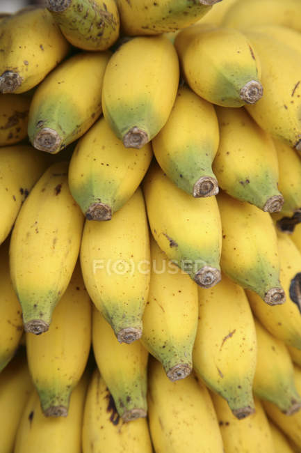 Куча свежих банановых фруктов, закрыть — стоковое фото