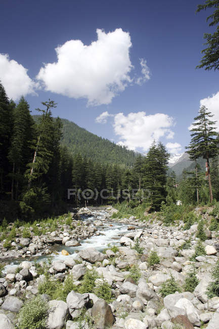 Blick auf Landschaft mit Bäumen und Hügeln im Hintergrund tagsüber, Manali, Himachal Pradesh, Indien, Asien. — Stockfoto
