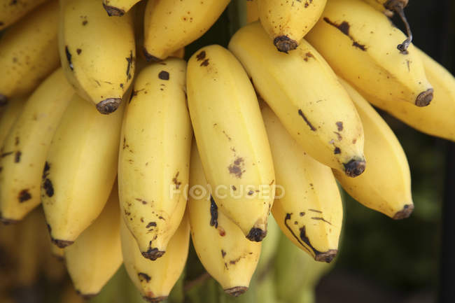 Plátanos de frutas en el mercado callejero al aire libre durante el día - foto de stock