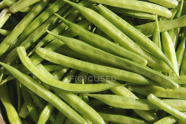 Cluster (Gawar) Beans laying in heap, full-frame — Stock Photo