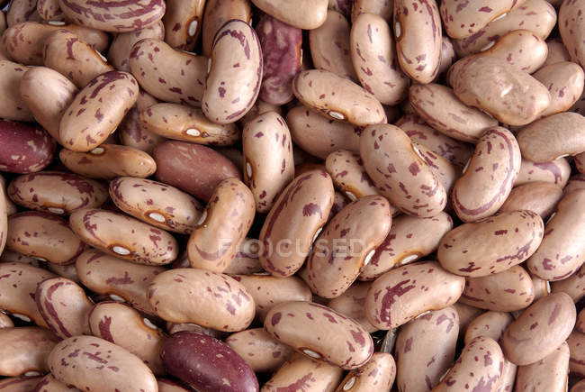 Heap of raw fresh Kidney Beans, full frame — Stock Photo