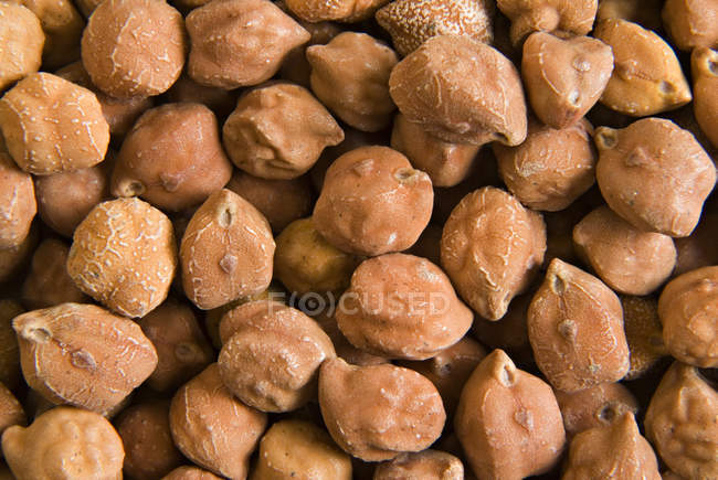 Raw brown chickpea — Stock Photo
