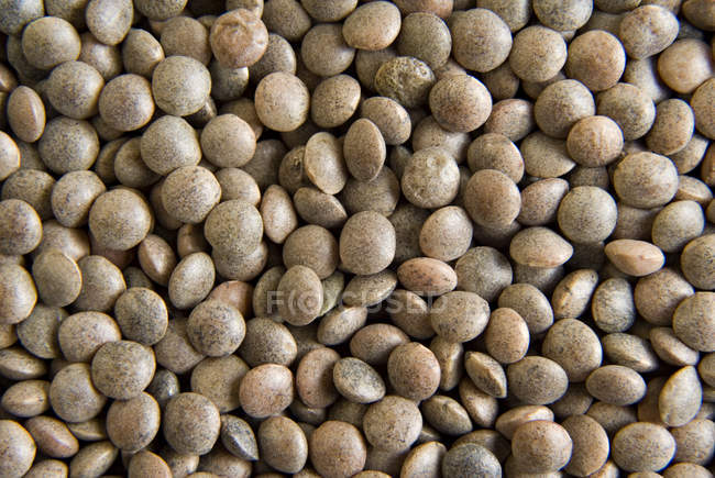 Feijão de lentilhas — Fotografia de Stock