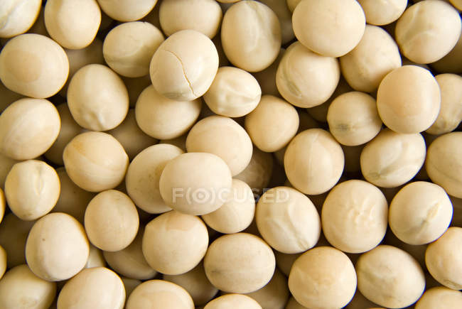 White Dry Peas — Stock Photo