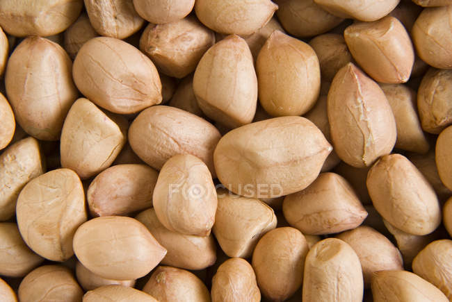 Ground nuts with peel — Stock Photo