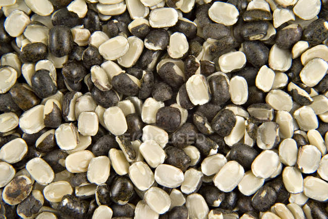 Нут насіння Спліт — стокове фото
