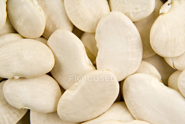 Weiße Ackerbohnen — Stockfoto