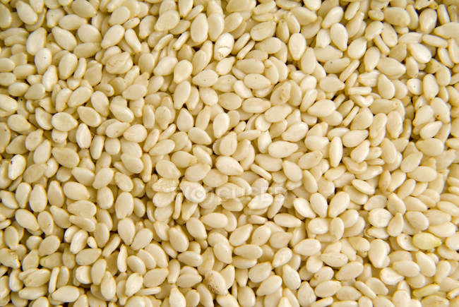 Montón de semillas de sésamo - foto de stock