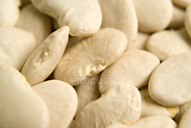 Weiße Ackerbohnen — Stockfoto