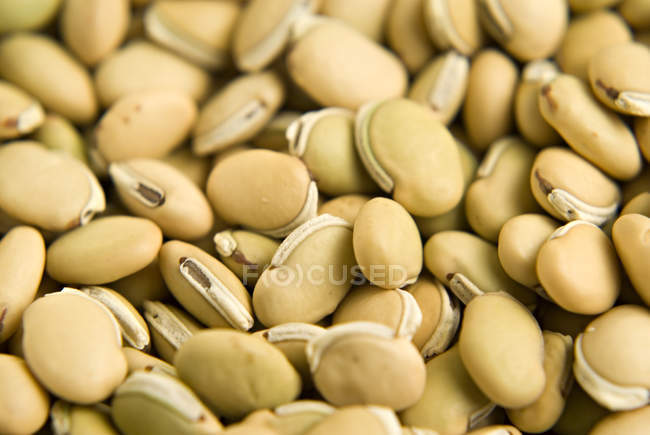Yellow Field beans — Stock Photo
