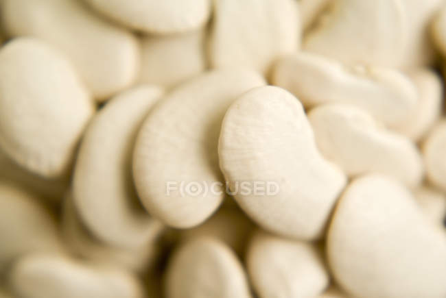 Haricots blancs — Photo de stock