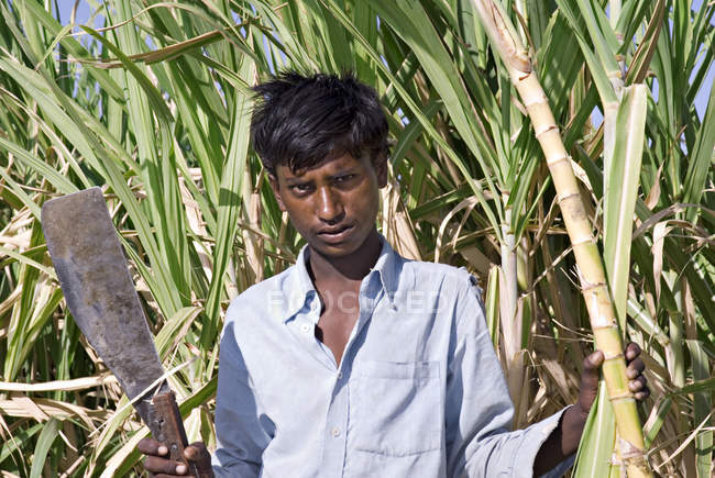Indian farmer with knife at field. Salunkwadi, Taluka, Ambejpgai district, Beed, Maharashtra, India — Stock Photo