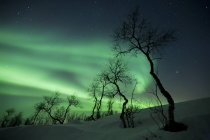 Luces boreales en la naturaleza ártica - foto de stock