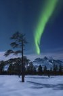 Polarlichter über Nova Mountain Wildnis — Stockfoto