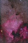 América del Norte y nebulosas pelícanas - foto de stock