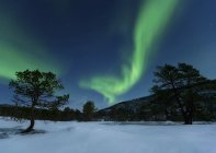 Polarlichter in Troms — Stockfoto