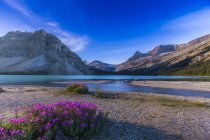Lago de proa en el parque nacional Banff - foto de stock