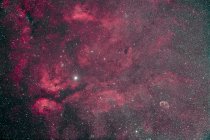 Panorama stellare con complesso di nebulosità Gamma Cygni — Foto stock
