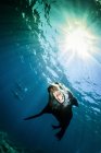 Kalifornische Seelöwen in der Nähe von la paz — Stockfoto