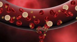 Медицинская иллюстрация процесса свертывания крови внутри артерии — стоковое фото