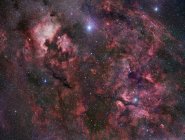 Northern Cygnus constellation in Milky Way — Stock Photo