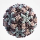 Représentation graphique d'un seul virion Norovirus sur fond blanc — Photo de stock