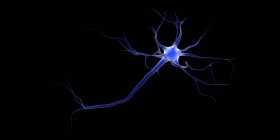 Imagen conceptual de una neurona sobre fondo negro - foto de stock