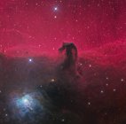 Paisagem estelar com nebulosa de cabeça de cavalo — Fotografia de Stock