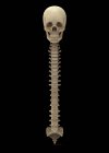 3D renderização da coluna vertebral humana sobre fundo preto — Fotografia de Stock