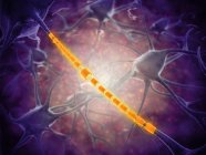 Концептуальное изображение нейронов со светящимся аксоном — стоковое фото