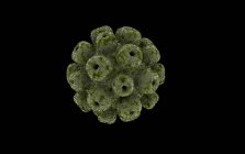 Концептуальних зображення polyomavirus клітинки — стокове фото