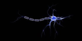 Концептуальне зображення нейрона на чорному тлі — стокове фото