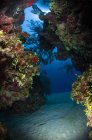 Fenda subaquática através do recife de coral — Fotografia de Stock