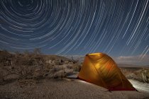 Star trails above campsite — Stock Photo