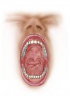 Anatomie de la cavité buccale humaine — Photo de stock